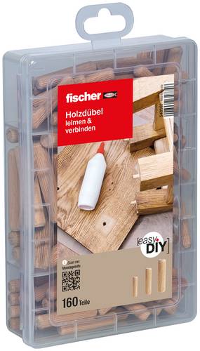 Fischer 548597 Praktische Helfer Dübel-Sortimentsbox 1 Set