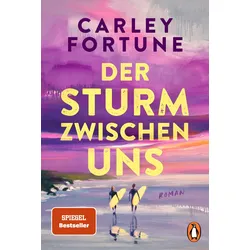 Der Sturm zwischen uns