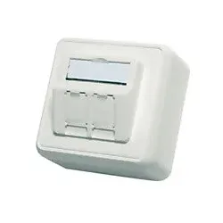 Telegärtner Modul-Aufnahme AP 80x80 2fach aws leer 100021382