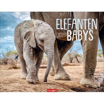 Elefantenbabys Kalender 2027