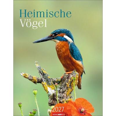 Heimische Vögel Kalender 2027