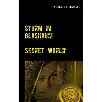 Sturm im Glashaus, Taschenbuch von Werner R.C. Heinecke, BoD – Books on Demand, 978-3-7412-9331-3