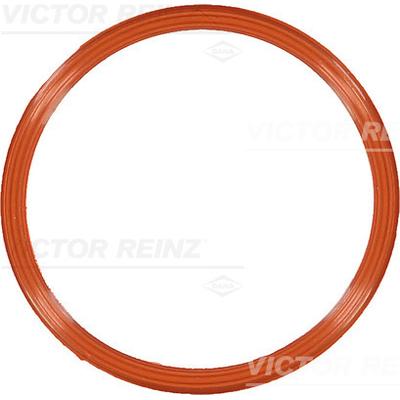 VICTOR REINZ Dichtung, Ansaugkrümmergehäuse 711082900 für VAG