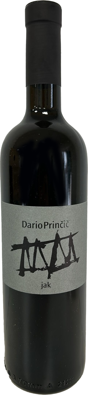 Princic Dario Jak Dario Princic 2021