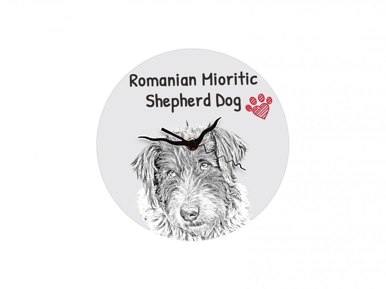 Art-Dog Klok Roemeense mioritic-herdershond