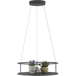 Paul Neuhaus, Pendelleuchte, LED Pendelleuchte CONTURA dimmbar Lichttemperaturwechsel höhenverstellbar (1800 lm)