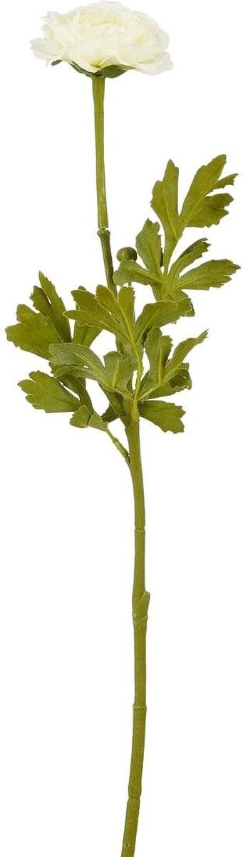 Mica Decorations Ranunculus Creme - Lengte: 56 cm