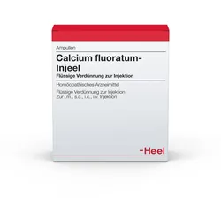 Calcium Fluoratum Injeel Ampullen 10 St