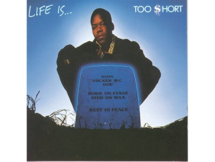 Life Is Too Short Stickered