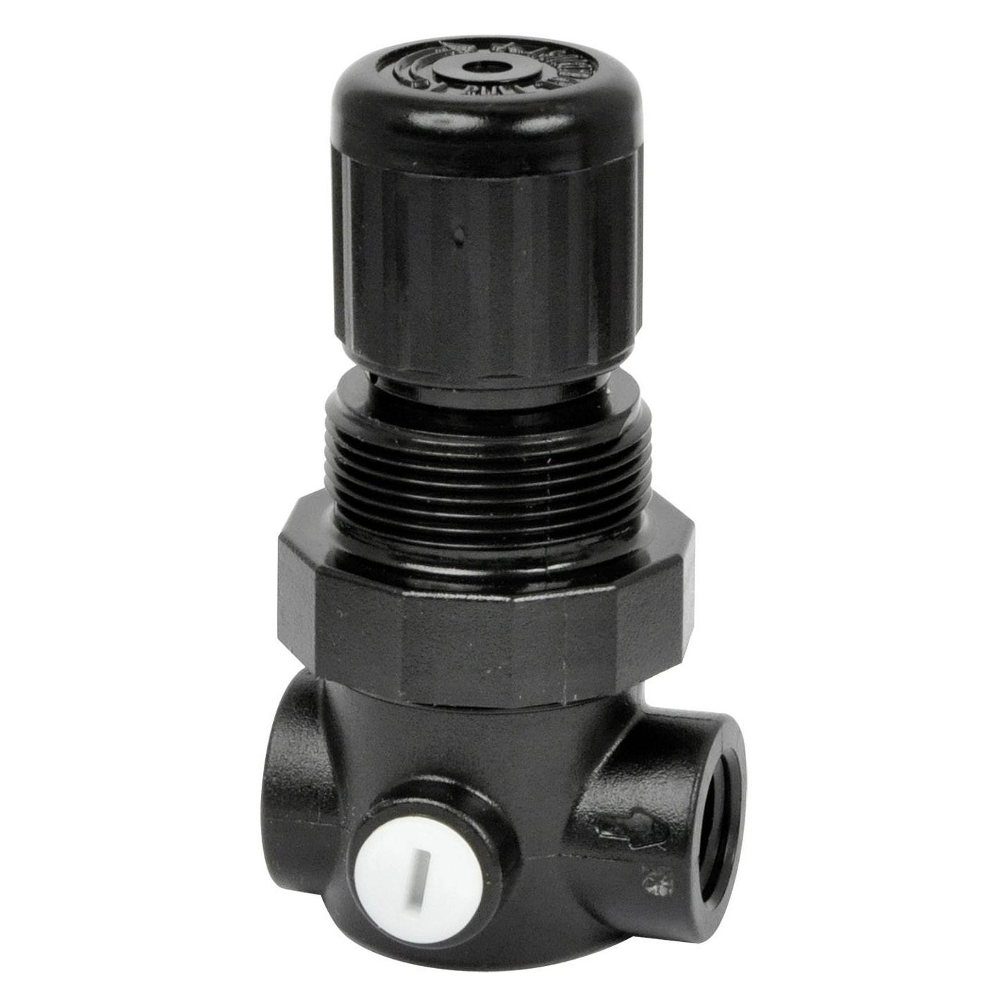 Norgren R91W Flüssigkeitsregler, MINI-Serie (R91W-2GK-NEN)