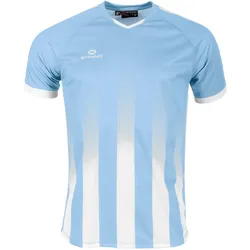 Stanno, Unisex, Sportshirt, Vivid Trikot (S), Blau