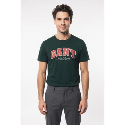 T-Shirt GANT "GRAPHIC", Herren, Gr. M, grün (tartan grün), Jersey, Obermaterial: 100% Baumwolle, normal, Rundhals, Shirts T-Shirt