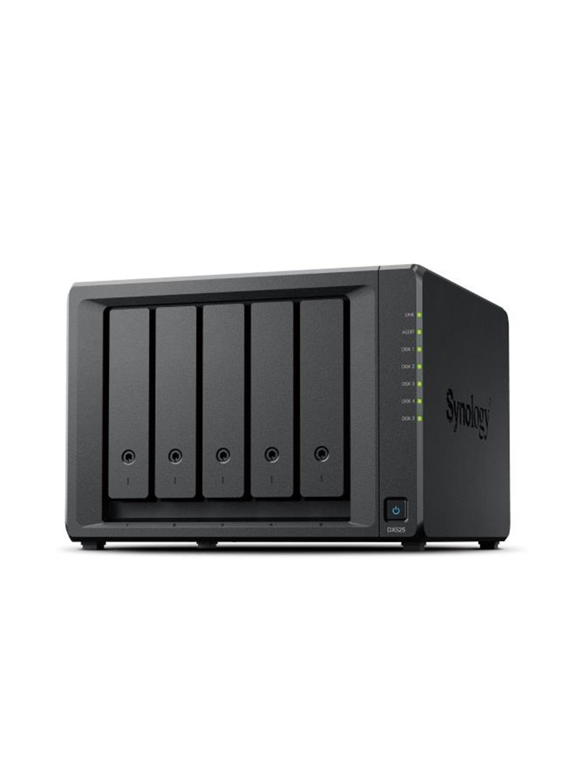 Synology DX525 - NAS Server