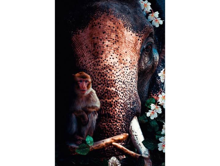 Wandkraft Bild, Mehrfarbig, Metall, Kunststoff, 98x148x10 cm, einfache und schnelle Anbringung, Bilder & Rahmen, Bilder, Wandbilder