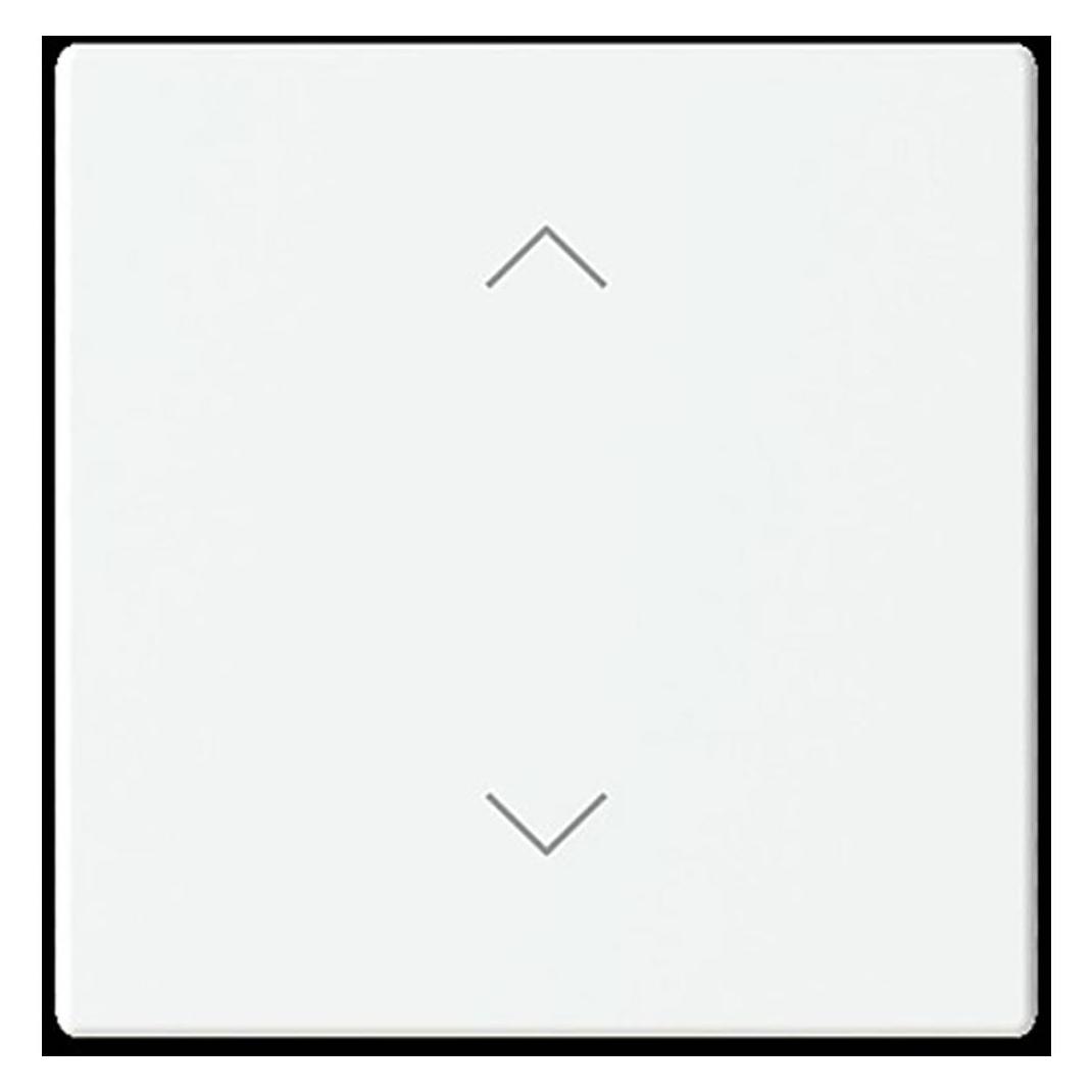 Busch-Jaeger Abdeckung (2CKA006199A0210)