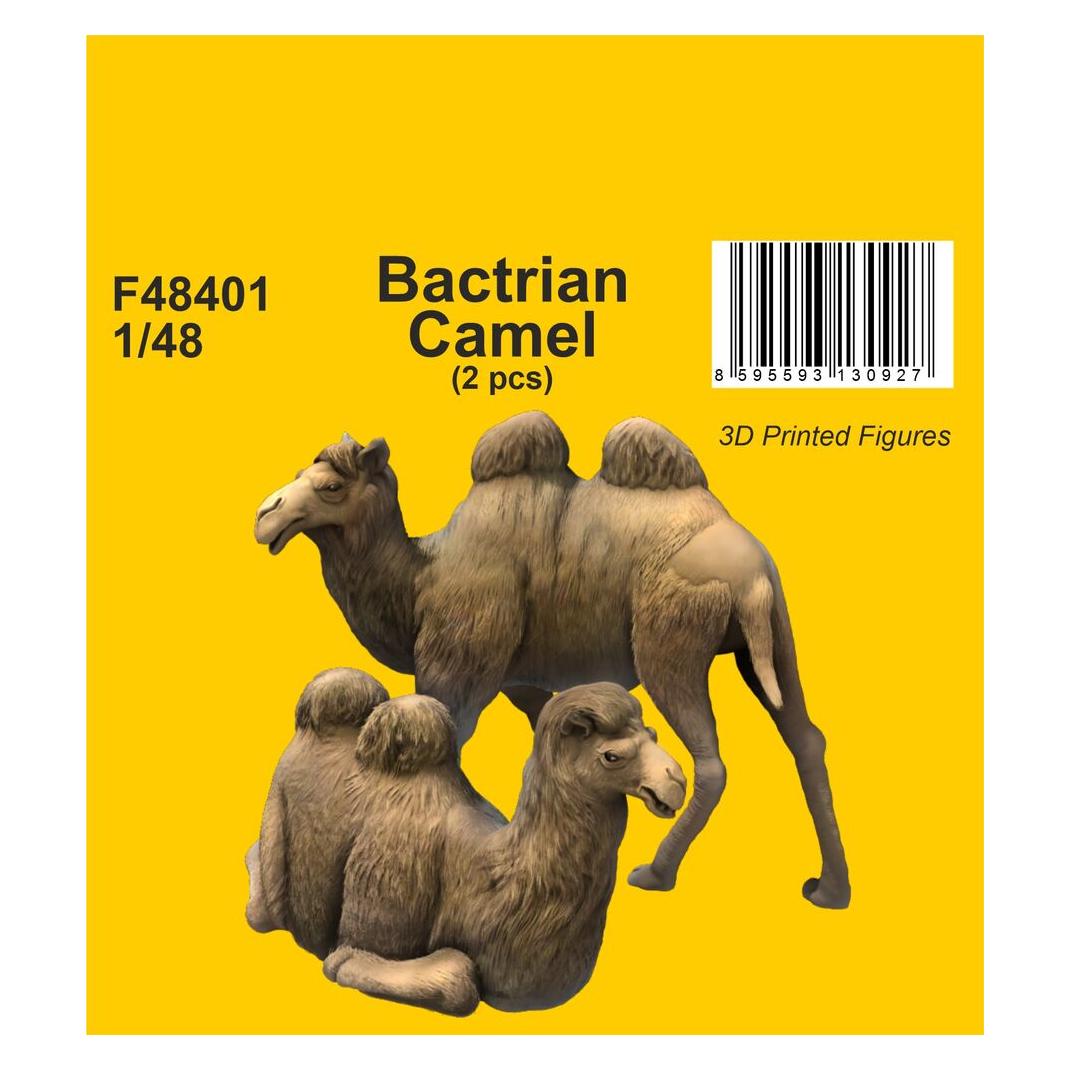 CMK Bactrian Camel (2 pcs) 1/48 (F48401)
