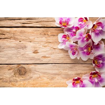 Papermoon "Blumen auf holz"