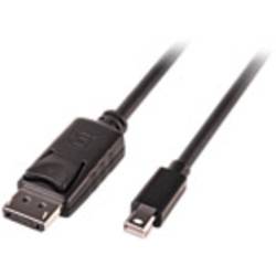 LINDY Mini-DisplayPort / DisplayPort Adapterkabel Mini DisplayPort Stecker, DisplayPort Stecker 3.00 m Schwarz 41647 UL-zertifiziert, doppelt geschirmt, Rund