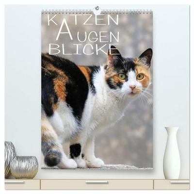 KATZEN AUGEN BLICKE (hochwertiger Premium Wandkalender 2027 DIN A2 hoch), Kunstdruck in Hochglanz