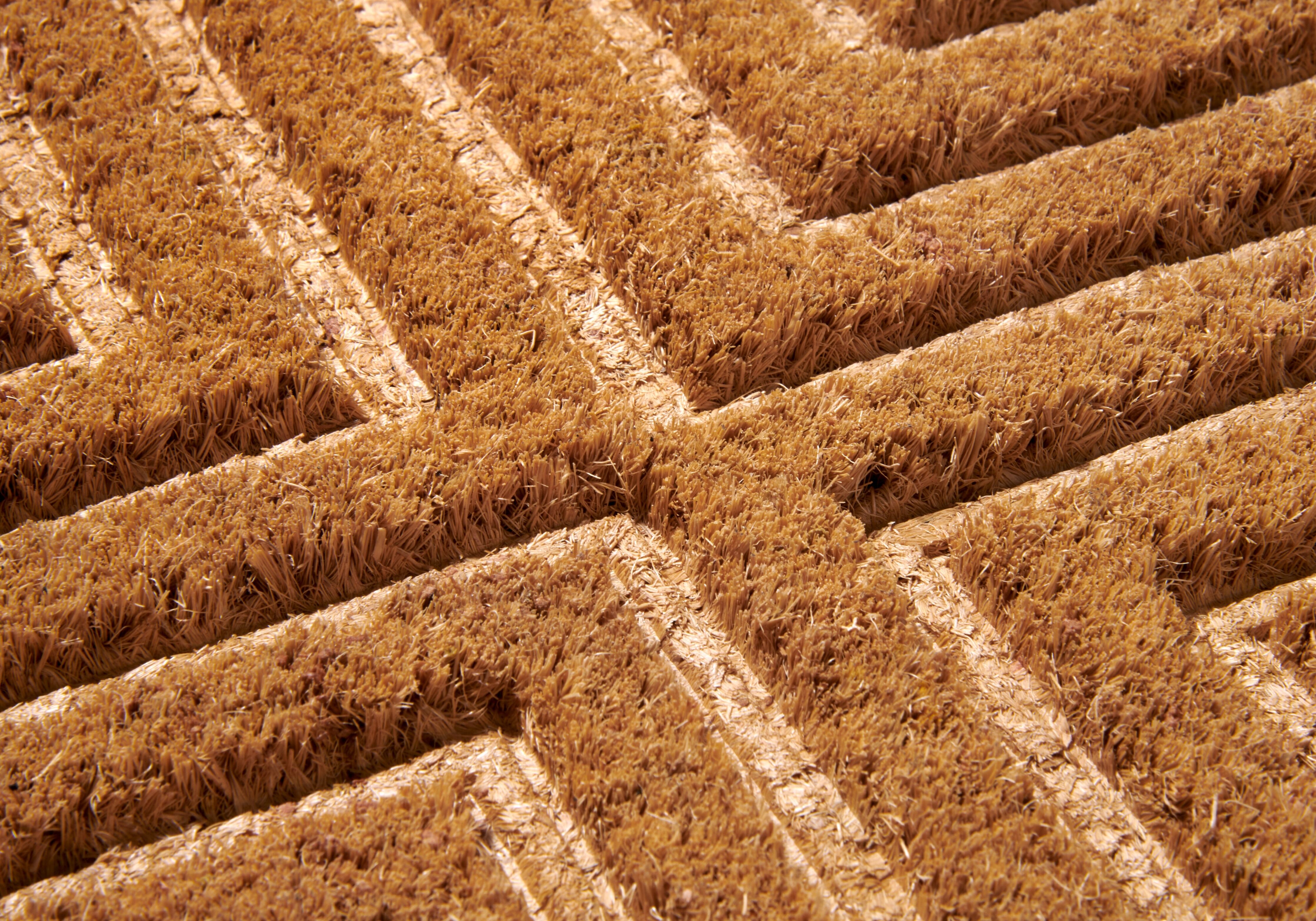 Fussmatte HANSE HOME "Mix Mats Kokos Geometric, Türmatte", braun (kokos), B:45cm H:15mm L:75cm, Kokos, Teppiche, Fussmatte, Strapazierfähig, pflegeleicht, robust, wetterfest, UV-beständig kokos B : 45cm 1 Stk., 15mm, L: 75cm