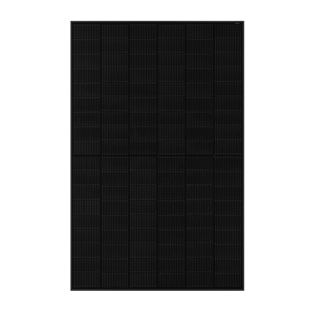 ASTROENERGY CHSM48RN(DG)(BLH)-450/F-BH - full black - bifacial