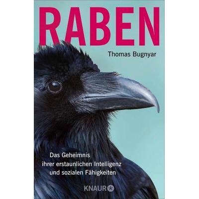 Raben, Taschenbuch von Thomas Bugnyar, Knaur Taschenbuch, 978-3-426-44898-4