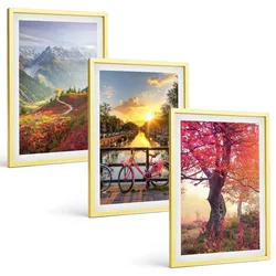 BILDER SET 3er Set - 40x60 cm Goldrahmen - Berglandschaften mit dem Fahrrad