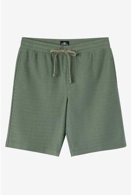O'Neill s Bavaro Solid Shorts in Sage, Size Small, Polyester
