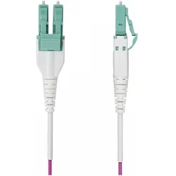 StarTech 30M OM4 MULTIMODE FIBER CABLE UNIBOOT/OFNR RISER/100G (30 m), Netzwerkkabel