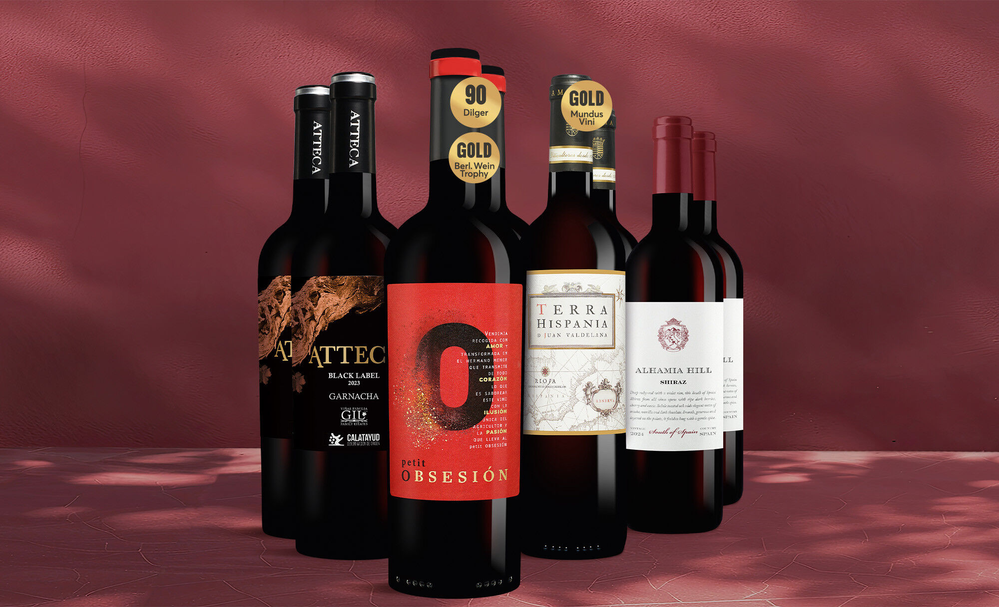 Festwein-Genießer-Paket Weinpaket  aus Spanien