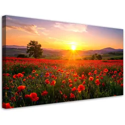 LEINWANDBILD Landschaften 80x40cm