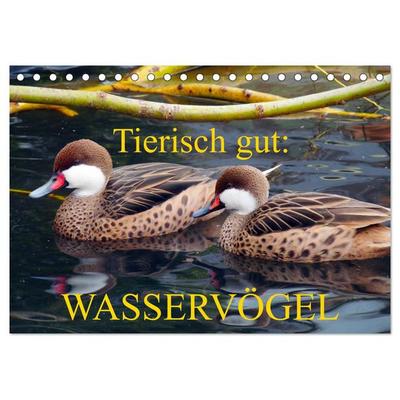 Tierisch gut: Wasservögel (Tischkalender 2026 DIN A5 quer), CALVENDO Monatskalender