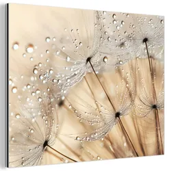 METALLBILD Löwenzahn - Abstrakt - Natur - Beige 40x30 cm