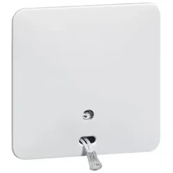 Peha Zug-Wechselschalter H 80.1616.02 N