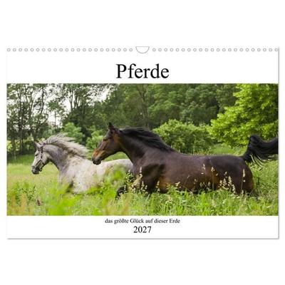 Pferde, das größte Glück auf dieser Erde (Wandkalender 2027 DIN A3 quer), CALVENDO Monatskalender