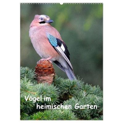 Vögel im heimischen Garten (Wandkalender 2027 DIN A2 hoch), CALVENDO Monatskalender