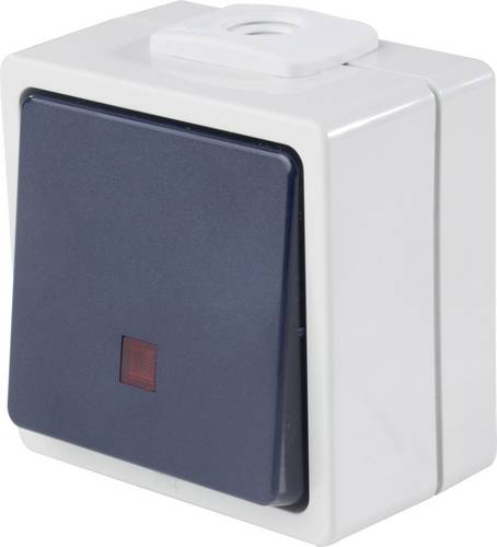 AS Schwabe 62453 Taster mit Licht IP54 Grau