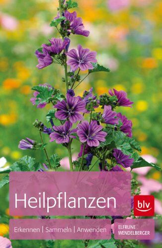 Elfrune Wendelberger - Heilpflanzen: Erkennen Sammeln Anwenden - Preis vom 12.10.2026 11:37:12 h