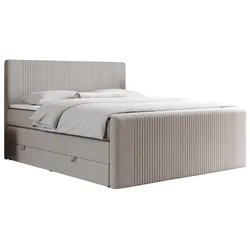 BOXSPRINGBETT KING DOREN 120/200 Beige Struktur - H3