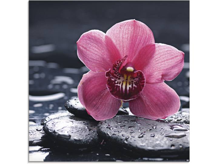 Glasbild ARTLAND Stillleben mit Kiesel und einer Orchidee , pink (farbe bild(er): pink), B:20cm H:20cm, Bilder, Glasbild, in verschiedenen Grössen