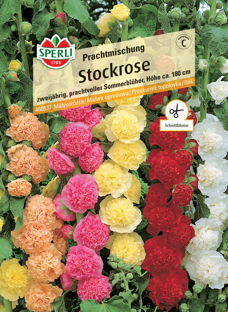 Sperli Stockrose Prachtmischung