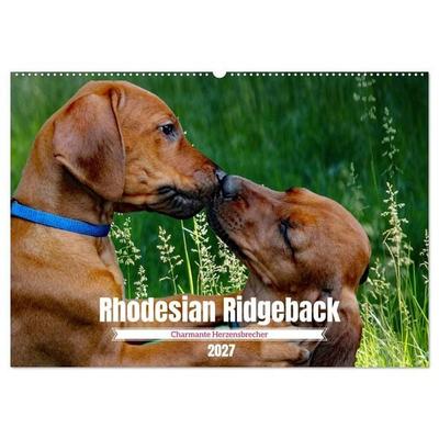 Rhodesian Ridgeback, Charmante Herzensbrecher (Wandkalender 2027 DIN A2 quer), CALVENDO Monatskalender