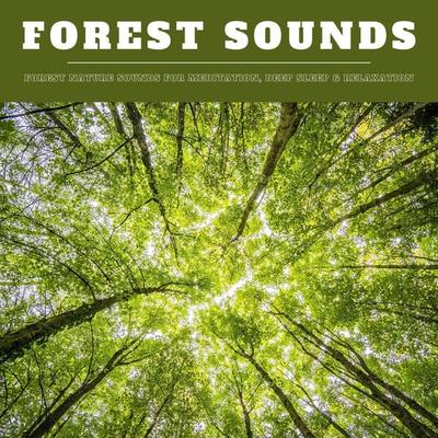 Forest Sounds: Forest Nature Sounds for Meditation, Deep Sleep & Relaxation (XXL Bundle) - Nature Sounds Therapy, Audio, 4066338477910