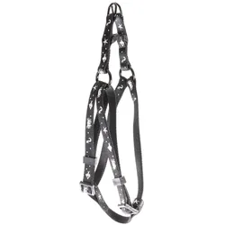 Martin Sellier Ocean (50, Katze, Spazieren), Halsband + Leine