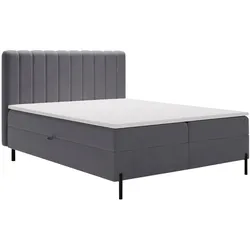 BOXBETT Primavera 160x200 Dunkelgrau