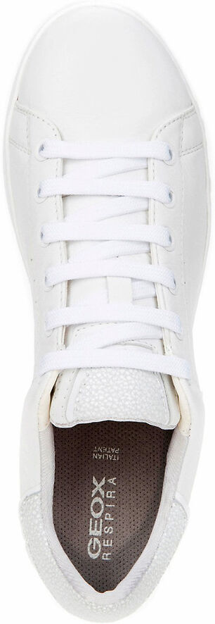 GEOX Baskets respirantes en cuir Jaysen