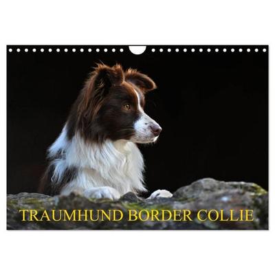 Traumhund Border Collie (Wandkalender 2027 DIN A4 quer), CALVENDO Monatskalender