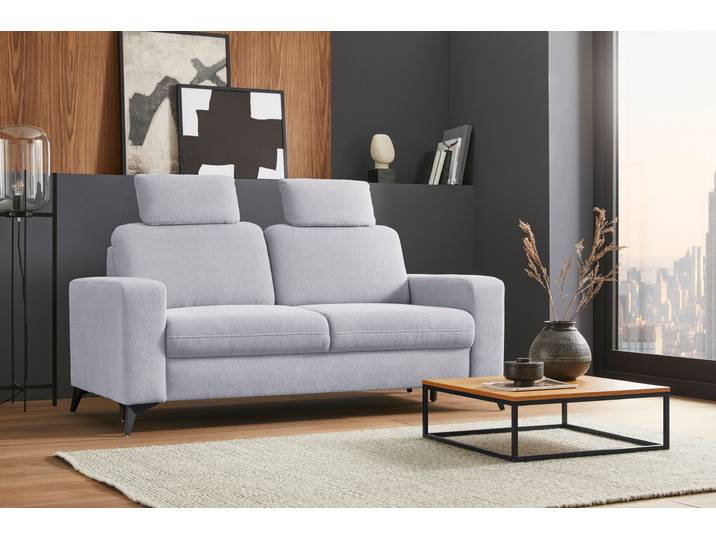 Kopfstütze, Silber, 50x25x12 cm, Struktur weich, Sofa-Zubehör, Modern