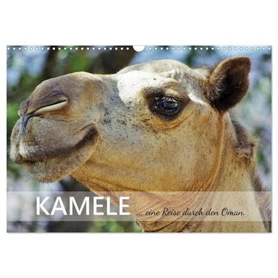 KAMELE... eine Reise durch den Oman. (Wandkalender 2027 DIN A3 quer), CALVENDO Monatskalender