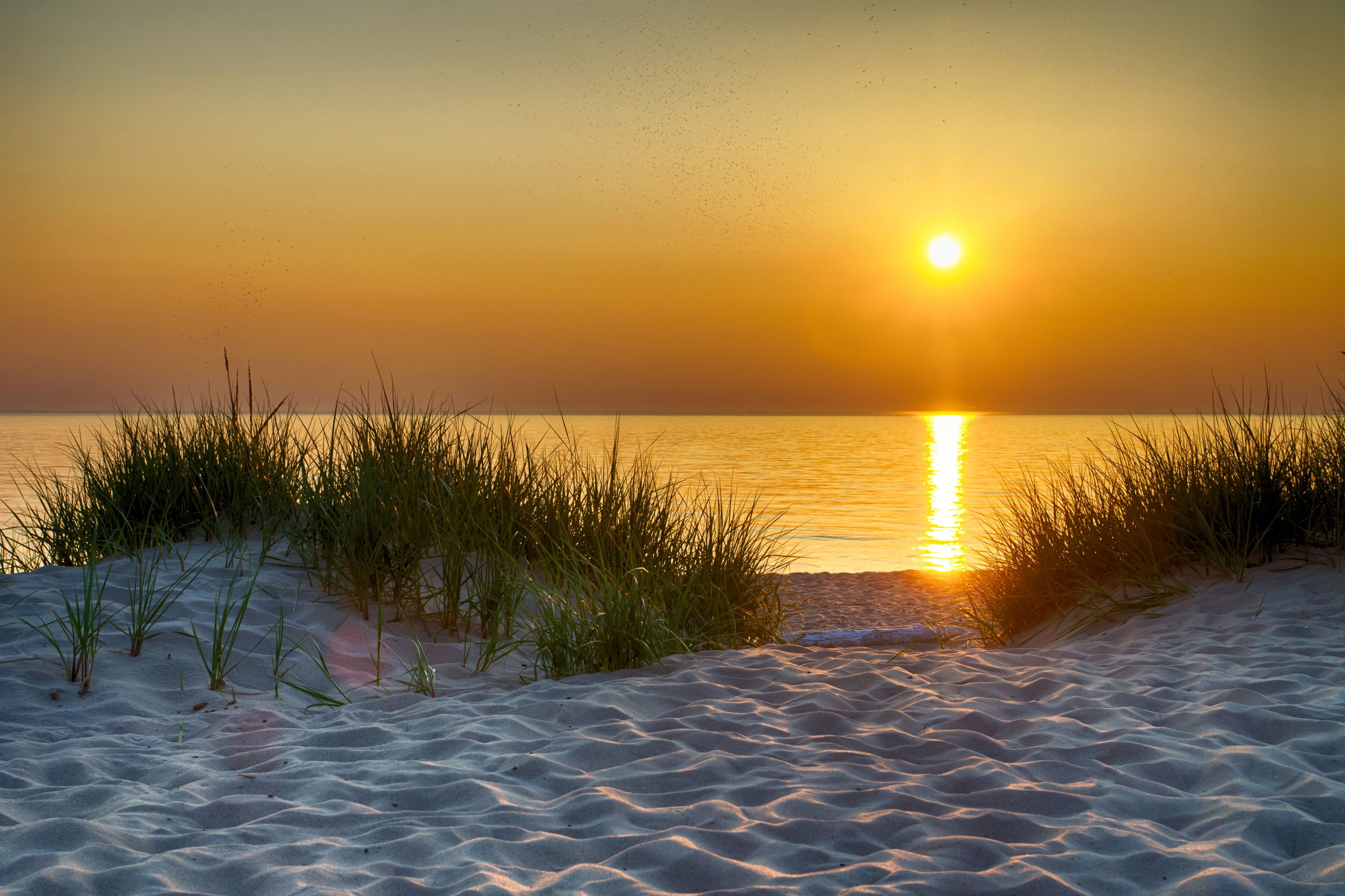 Fototapete PAPERMOON "Dunes Lake Michigan", bunt, B:2m L:1,49m, Vlies, Tapeten, Fototapete bunt B/L: 2m x 1,49m, Bahnen: 4 Stk.